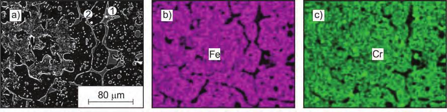 powierzchniowe żelaza (b), chromu (c), niklu (d) i cyny (e). SEM z przystawką EDS Fig. 6. The microstructure of the cross-section, steel - corrosion products (at a distance of ca. 3.