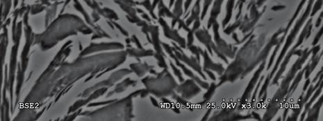 iron, b) austempered matrix of ductile cast iron, c) mixture of ferrite and perlite grains in steel Rys. 8.