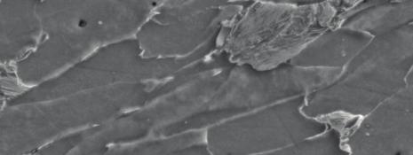 The content of ferromagnetic phases on the section of cast iron samples after Taylor test Bazując na wiedzy o mikrostrukturze żeliwa