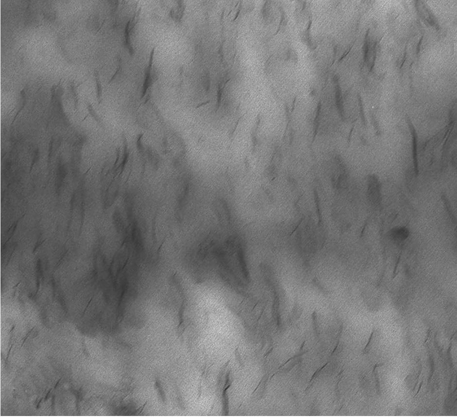 POLIMERY 03, 58, nr7 8 553 a) b) 00 nm 00 nm Rys. 3.
