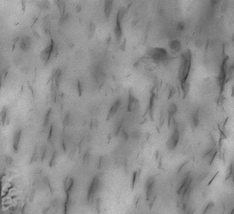 TEM images of nanocomposites: PA 6/MMT-MO a) and PA 6/MMT-MO b) struktury warstwowej glinokrzemianu, bardzo szeroki rozmyty pik pomiêdzy k¹tami rozpraszania = 3,5 a = 7 i z maksimum dyfrakcyjnym