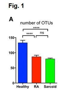 Drzewo oskrzelowe The lung microbiota in early rheumatoid arthritis