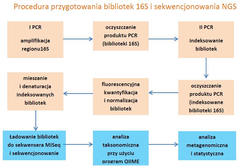 Metodyka