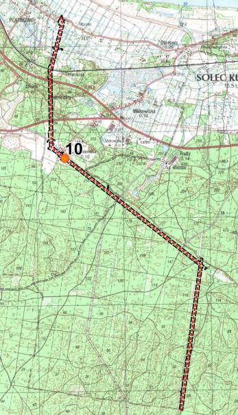 zarastający odłóg w postaci trawiastej murawy na obrzeżach młodnika sosnowego; na południowy wschód od punktu stwierdzono występowanie rokitnika zwyczajnego zasięg migracji i