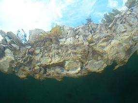 Zdjęcie wykonane pod wodą. Obiektyw został ustawiony w stronę powierzchni. Widać białe wapienne skały wystające ponad powierzchnię wody.