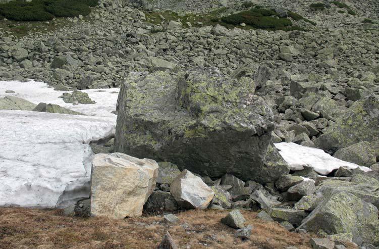For lichens to be able to colonize a rock surface and grow on it, they must receive, inter alia, the right amount of light and water.