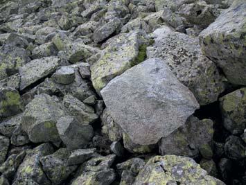 13 Fig. 8. A fresh boulder at the back of a rock glacier tongue in the Świstówka Roztocka valley (by S. Kędzia, 1/07/2014) Fig. 9.
