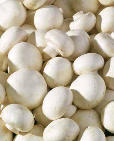 Truskawki 250 g koszt