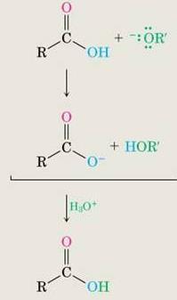 Mechanizm Hydrolizy