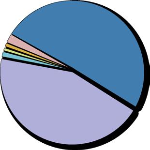 Udział Partnerów w rynku DNT 24 Udział Partnerów w rejestracjach DNT, drugi kwartał 2011* Pozostali 2,11% Premium.pl Sp. k. 0,43% AZ.pl Sp. z o.o. 52,61% Domainclub.com LLC 0,61% Domeny.pl Sp. z o.o. 1,27% Michau Enterprises Ltd.