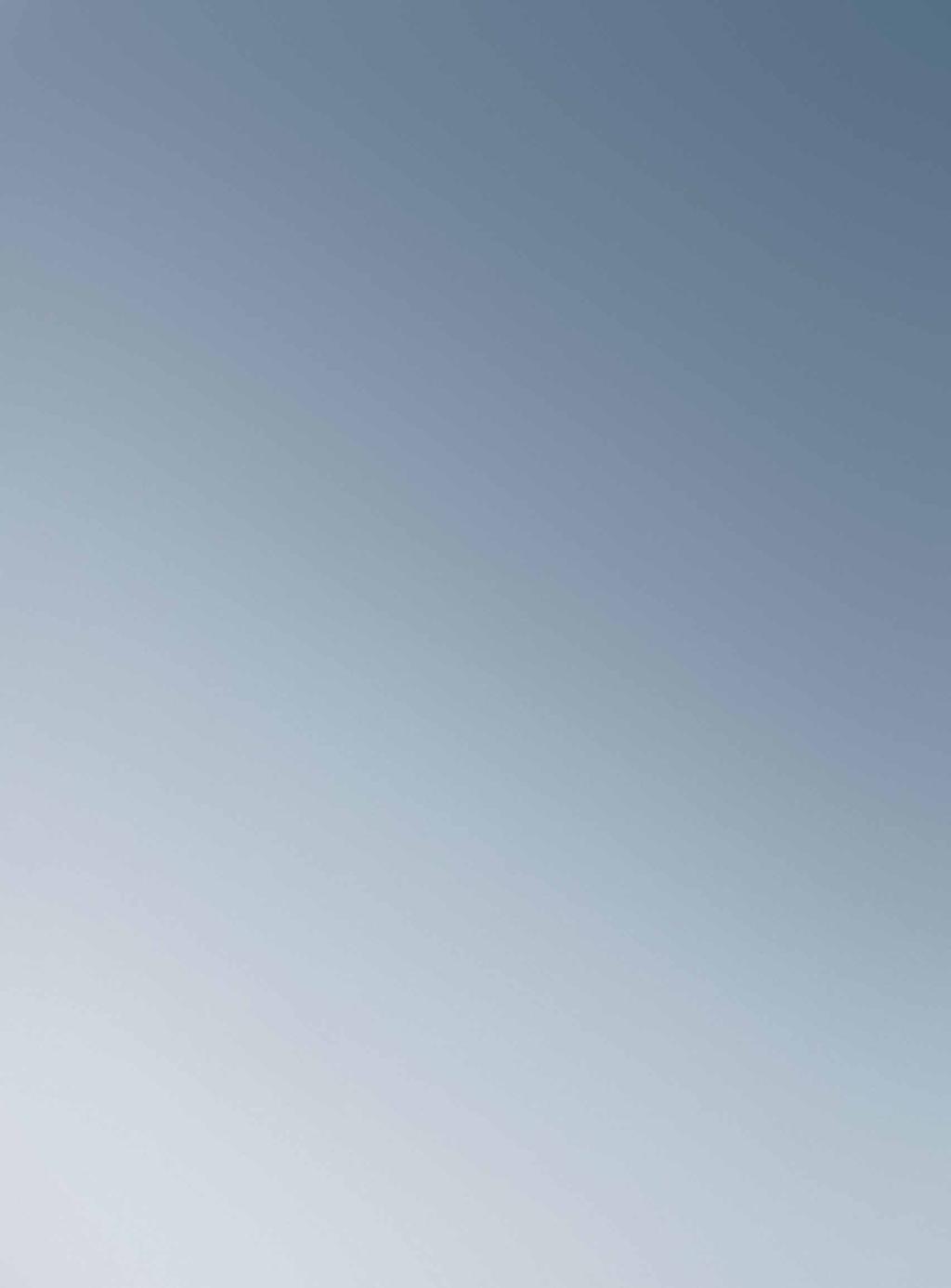 APPLICATION ENGINEERING EXPERT SOLUTIONS Successful companies not only expect excellent products from their