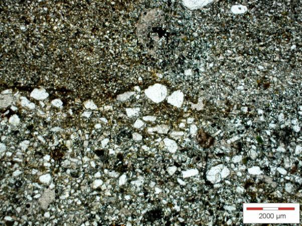 W przeciwieństwie do gleb tworzących się z materiałów litologicznie jednorodnych, gleby płowe na stanowisku Gołoty odznaczają się wyjątkowo skomplikowaną budową litologiczną.