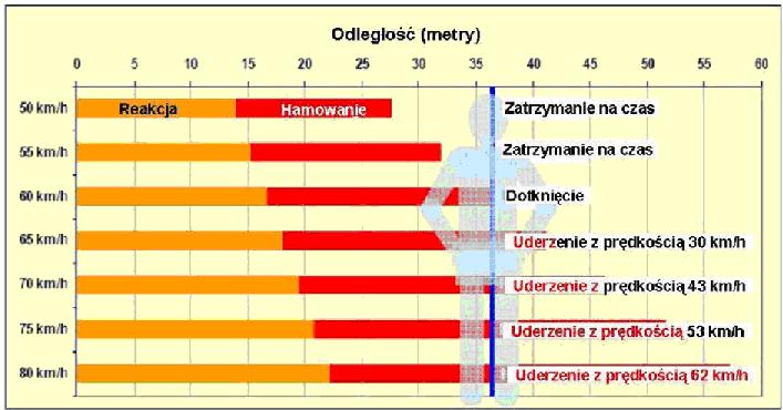 Rys. 4. Prędkość uderzenia w pieszego. Następnie przeanalizujemy jaką energię będzie posiadał pojazd B w chwili zderzenia i jakie przeciążenia działają wówczas na kierowcę.