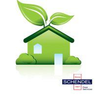 Metody chemiczne Produkty stosowane w metodzie chemicznej są toksyczne, ale także często są przyczyną chemicznych zmian spoiw, pigmentów, werniksów,.