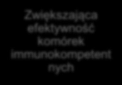 Immunoterapia w Niedrobnokomórkowym Raku Płuca Aktywna Adoptywna Zwiększająca efektywność