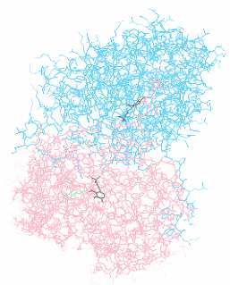 Wstęp 2/16 Aminotransferaza asparaginianowa (EC 2.6.1.1; AAT) katalizuje reakcję przeniesienia grupy aminowej (-NH 2 ) z L-asparaginianu na 2-oksoglutaran z utworzeniem szczawiooctanu i L-glutaminianu.