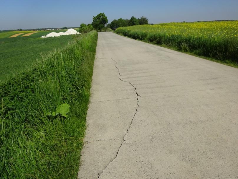 poniesiono żadnych kosztów.