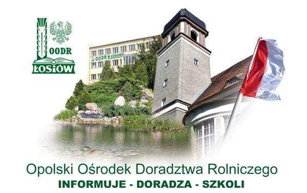 Załącznik do uchwały Nr XLII/425/2010 Sejmiku Województwa Opolskiego z dnia 23