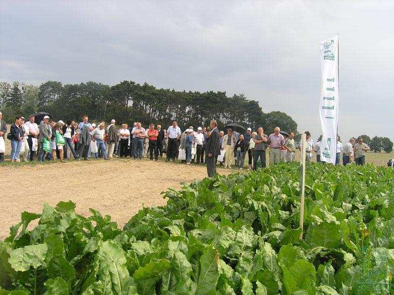 dla 150 osób konferencję Dzień Buraka wraz z prezentacją 14