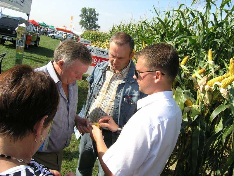 dla 433 osób warsztaty Dzień Kukurydzy na polu produkcyjnym Zakładu