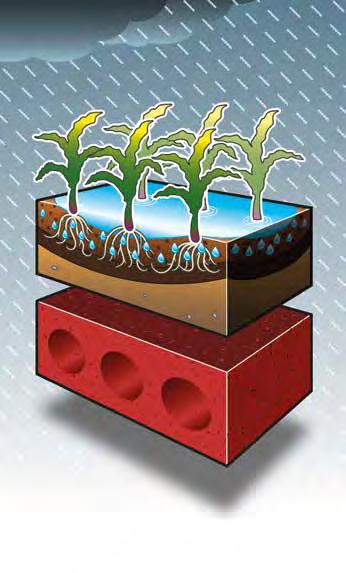 Podstawowe cechy glebie z funkcjonalnym systemem wodnym: Infiltracja: Gleba mieć odpowiednią strukturę pozwalającą na własciwą infiltrację (absorpcję), która zapobiegnie formowaniu się zaskorupień