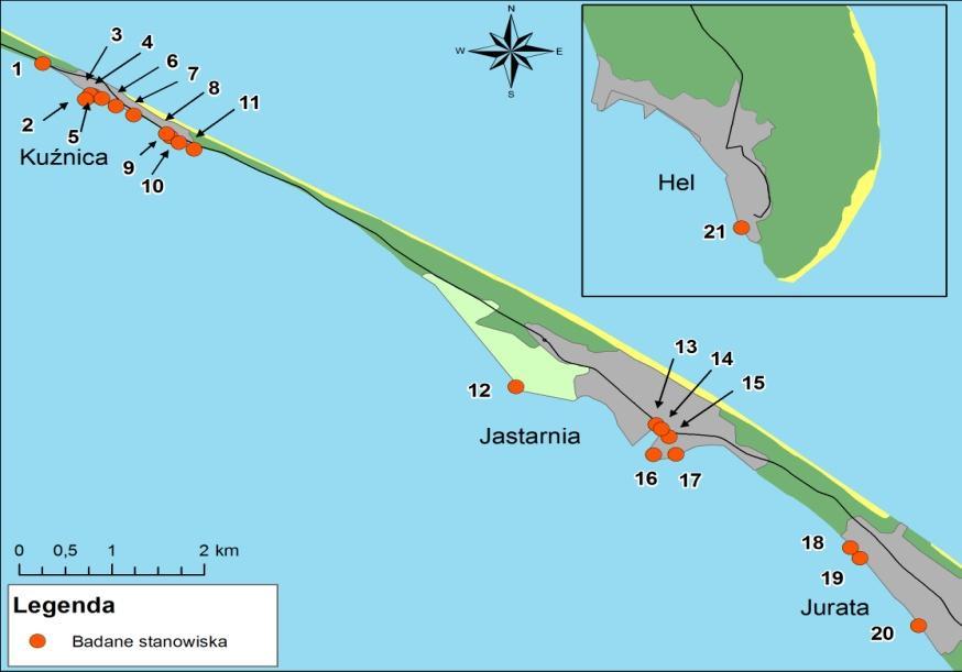 MATERIAŁY I METODY Charakterystyka stanowiska badawczego Badania były przeprowadzane wzdłuż 18-kilometrowej linii brzegowej na trasie Kuźnica-Hel.
