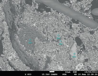 ions towards the middle of the sample and in the evaporation of some elements. In order to improve the conductivity and eliminate these effects the samples were sprayed with thin gold coating.