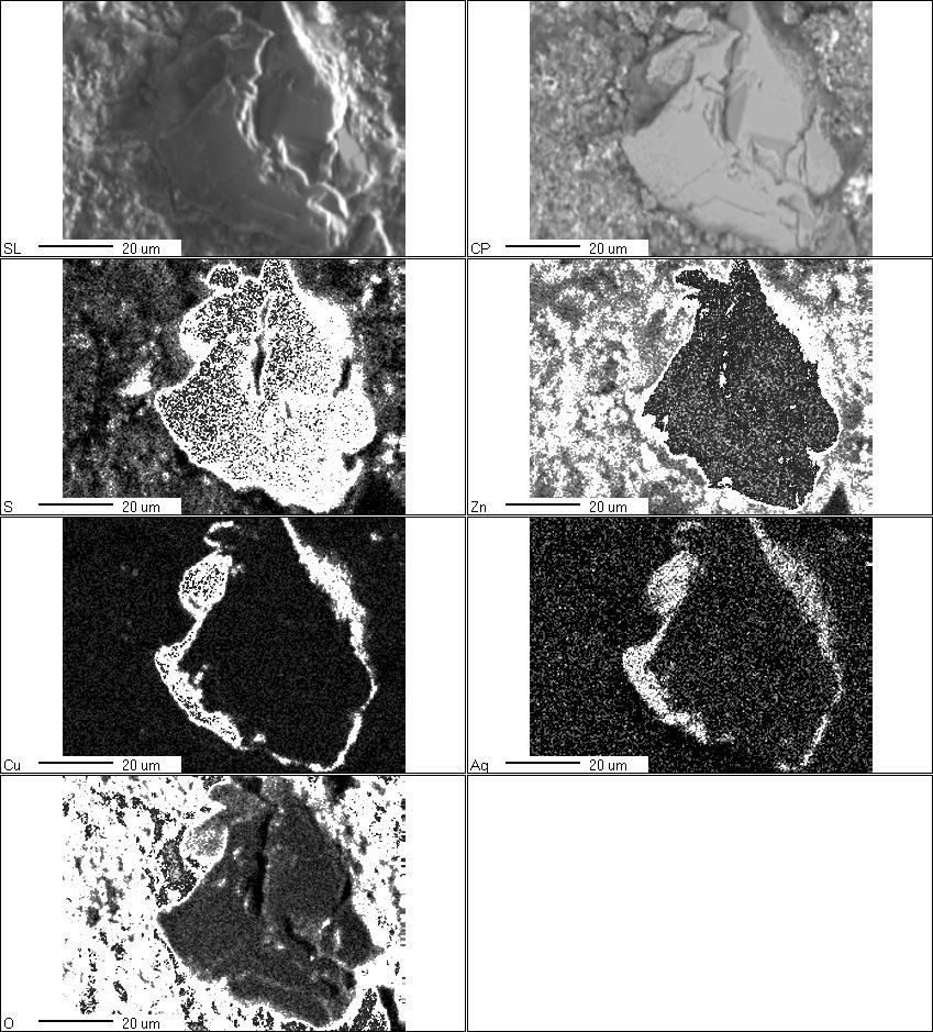Fig. 3 Electron images of the sphalerite grains and