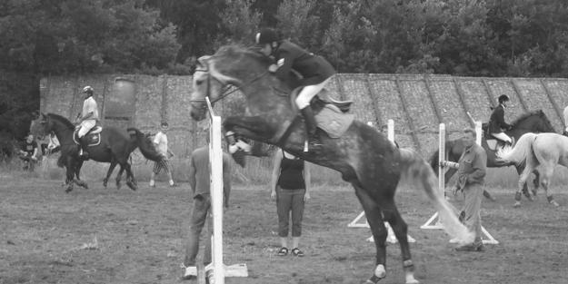 tygodnik ³obeski 20.7.2010 r.