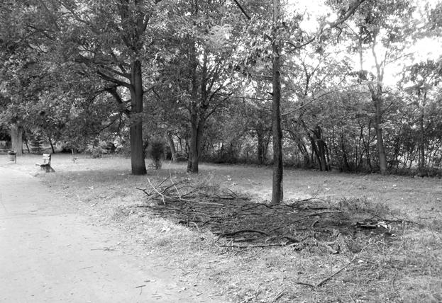 To, e nie posprz¹tano na starym boisku po Dniach obza, to tylko jeden z przyczynków do niniejszych uwag. Spacer po promenadzie dope³nia obraz zaniedbañ.