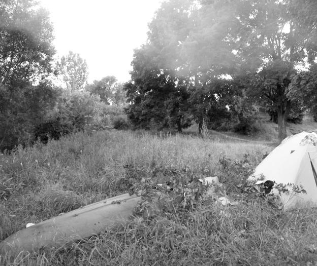 tygodnik ³obeski 20.7.2010 r. Z YCIA POWIATU Urodzinowa fotka Str.. 7 Kajakarze p³yn¹cy Reg¹ spod Œwidwina mijaj¹ powalon¹ wierzbê. Nie zatrzymaj¹ siê na ³obeskiej przystani, bo takowej nie ma.