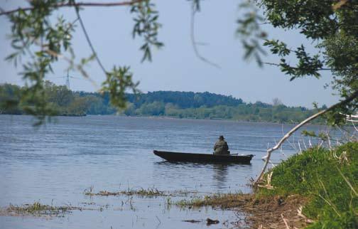 1355 Wydra Lutra lutra (Linnaeus, 1758) Podstawą pokarmu wydry, jako gatunku prowadzącego ziemno-wodny tryb życia są organizmy wodne i występujące w bezpośrednim sąsiedztwie środowisk wodnych.