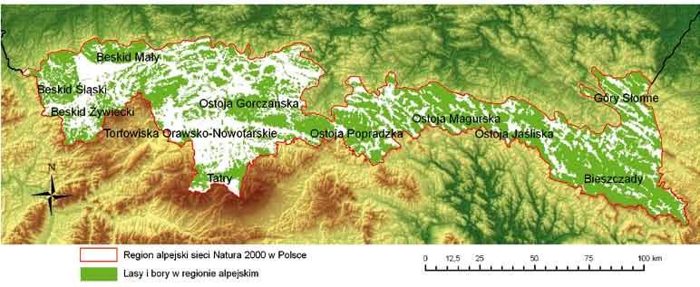 5. Analiza spójności sieci Natura 2000 dla wybranych grup siedlisk przyrodniczych w Karpatach 39. Bór górnoreglowy na Policy siedliska, które zlokalizowane są w Bieszczadach.