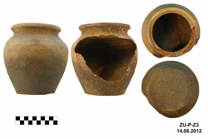 Stary Folwark, st. 2 335 Ryc. 19. Iława, st. 33 Wielka Żuława. Naczynie ceramiczne z badań podwodnych przy grodzisku (fot. A. Pydyn) ląd stały znaleziono kolejne fragmenty ceramiki zabytkowej.