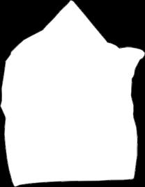 bathcape