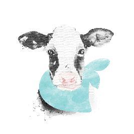 4 EN The milk&bamboo collection was manufactured thanks to an innovative connection of CV bamboo yarn with a Milkofil yarn. Milkofil is an innovative organic and healthy yarn derived from milk.