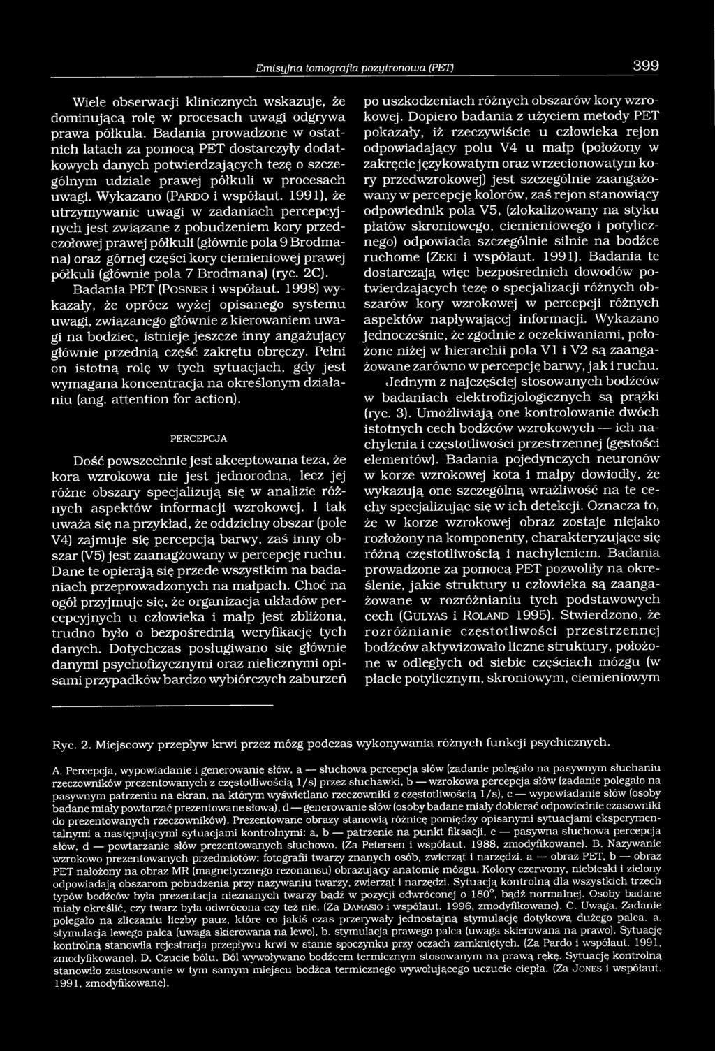 1991), że utrzymywanie uwagi w zadaniach percepcyjnych jest związane z pobudzeniem kory przedczołowej prawej półkuli (głównie pola 9 Brodmana) oraz górnej części kory ciemieniowej prawej półkuli