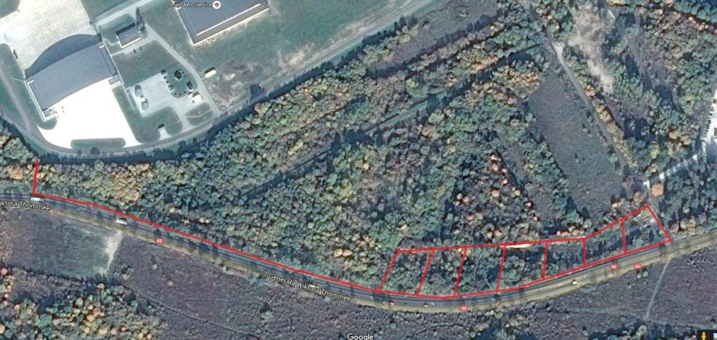 Inwentaryzacja drzew w linii istniejącego ogrodzenia oraz na obszarze od linii ogrodzenia do zabudowań Kazamatów i od linii ogrodzenia do drogi 1.