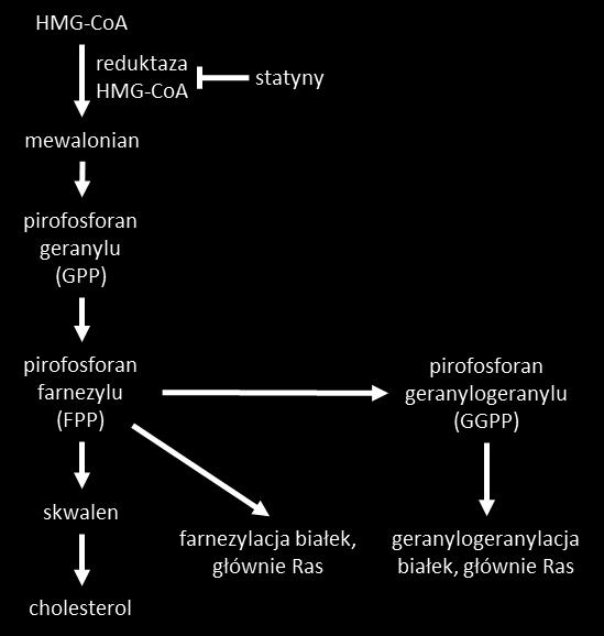 HDL (ang. high density lipoprotein) o ok. 8%.
