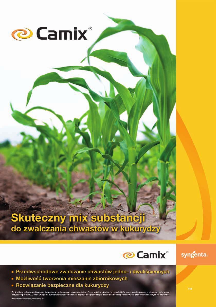 jednoliściennych oraz dwuliściennych w kukurydzy.