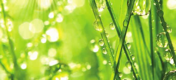 AGROZWILŻACZ ŚRODKI POWIERZCHNIOWO-CZYNNE DZIAŁ PASZ I KOMPONENETÓW PASZOWYCH Firma Agro-