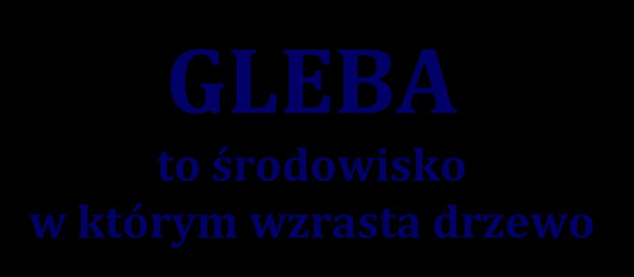 stanowi środowisko, w