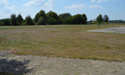 użytkowników rożnego rodzaju kontuzje). Poza tym boiska nie mają trybun (miejsc siedzących) w związku z tym kibice uczestniczący w imprezach sportowych zmuszeni są oglądać je na stojąco.