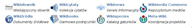 Niekomputerowi hakerzy Projekty siostrzane Wikipedia to tylko fragment projektów Fundacji Wikimedia Wiktionary wielojęzyczny słownik Wikibooks darmowe książki Wikiquote gromadzi cytaty,