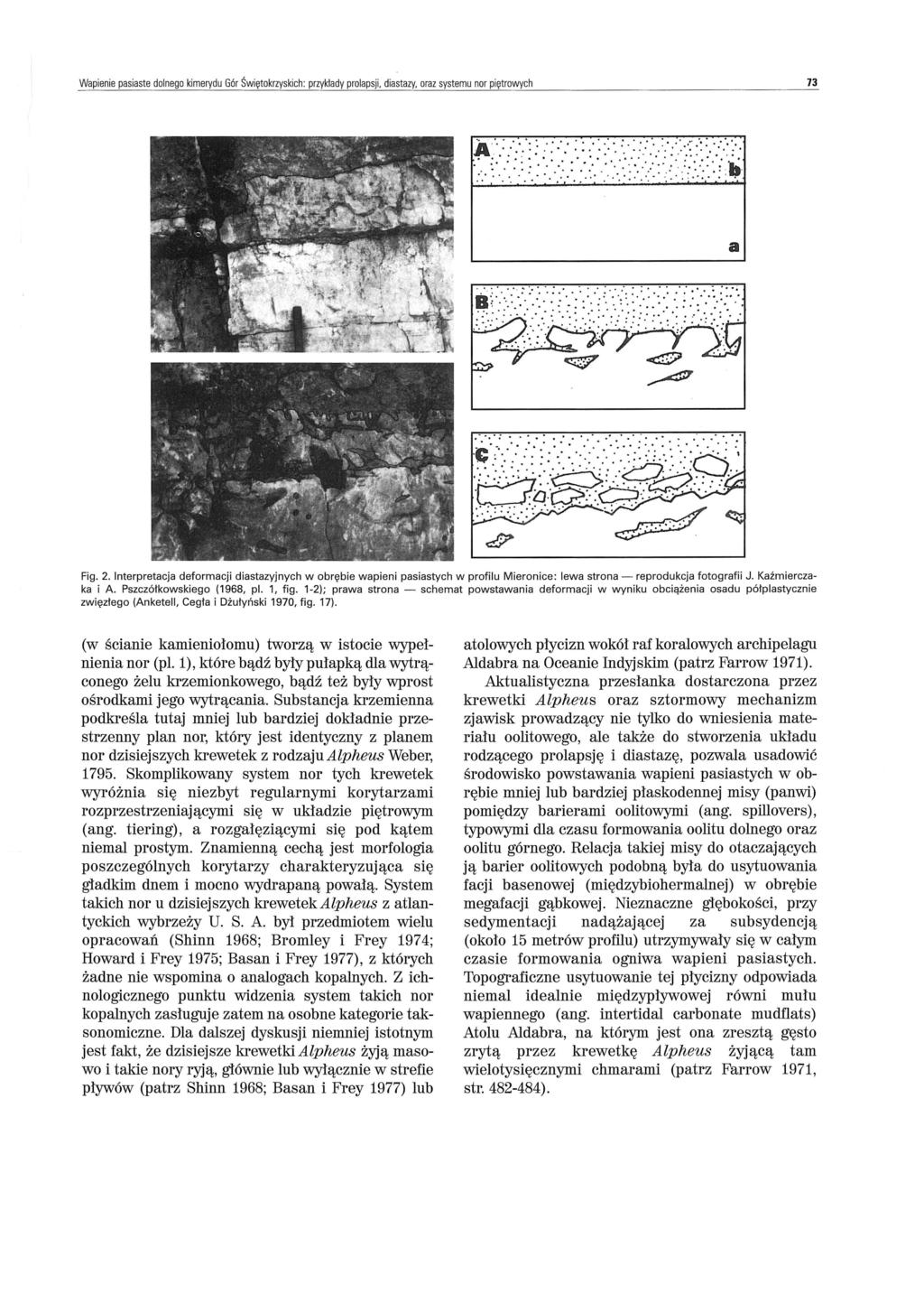 Wapienie pasiaste dolnego kimerydu Gór Świętokrzyskich : przyklady prolapsji, diastazy, oraz systemu nor piętrowych 73 a Fig. 2.