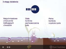 1 Trzy strefy działania produktu Boreal b wykonujemy zabieg herbicydowy preparatem Boreal przed wschodami kukurydzy, Boreal zniszczy chwasty będące na powierzchni gleby (Rys.