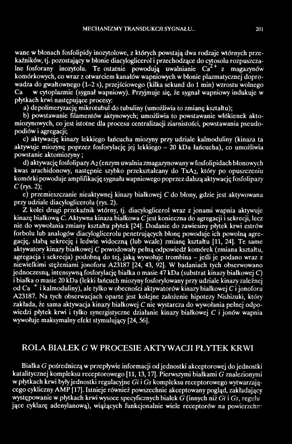 Przyjmuje się, że sygnał wapniowy indukuje w płytkach krwi następujące procesy: a) depolimeryzację mikrotubul do tubuliny (umożliwia to zmianę kształtu); b) powstawanie filamentów aktynowych;