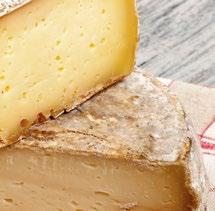 GOUDA