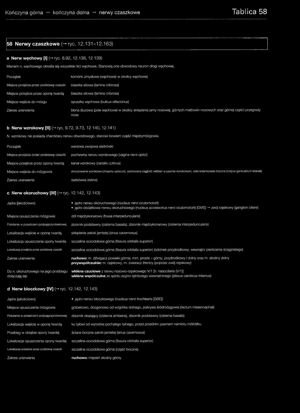 nosa b Nerw w zro ko w y [SI] (-*ryc. 9.72, 9.73, 12.140, 12.141) N, wzrokowy nie posiada charakteru nerwu obwodowego, stanowi bowiem część międzymózgowia.