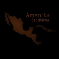*Zajęcia prowadzone przez mgr Artura Stasiaka (28 marca - 6
